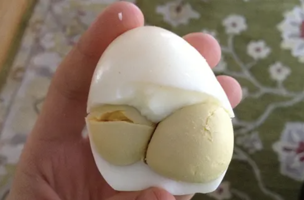 Lecitina de yema